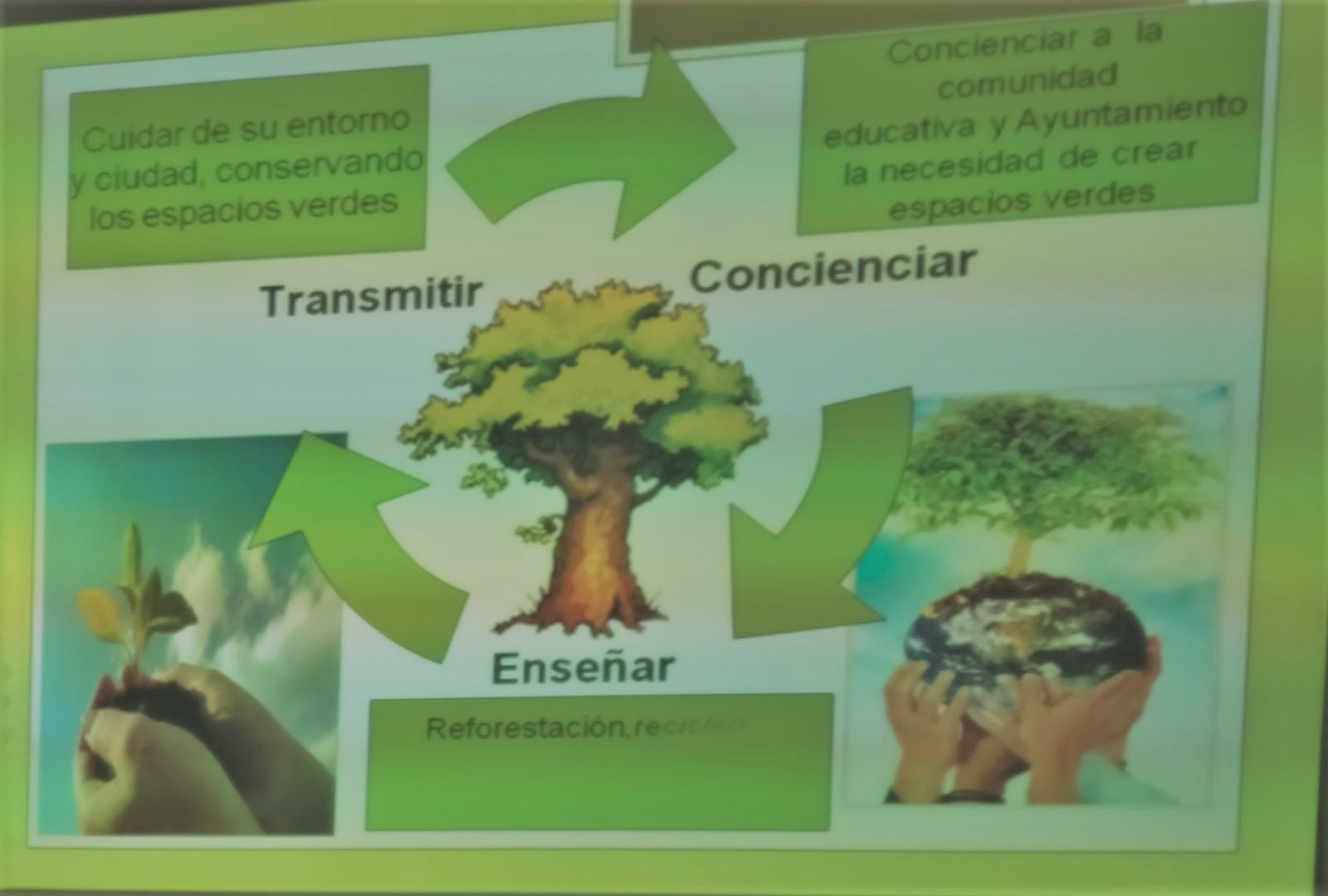 DÍA MUNDIAL DEL MEDIO AMBIENTE