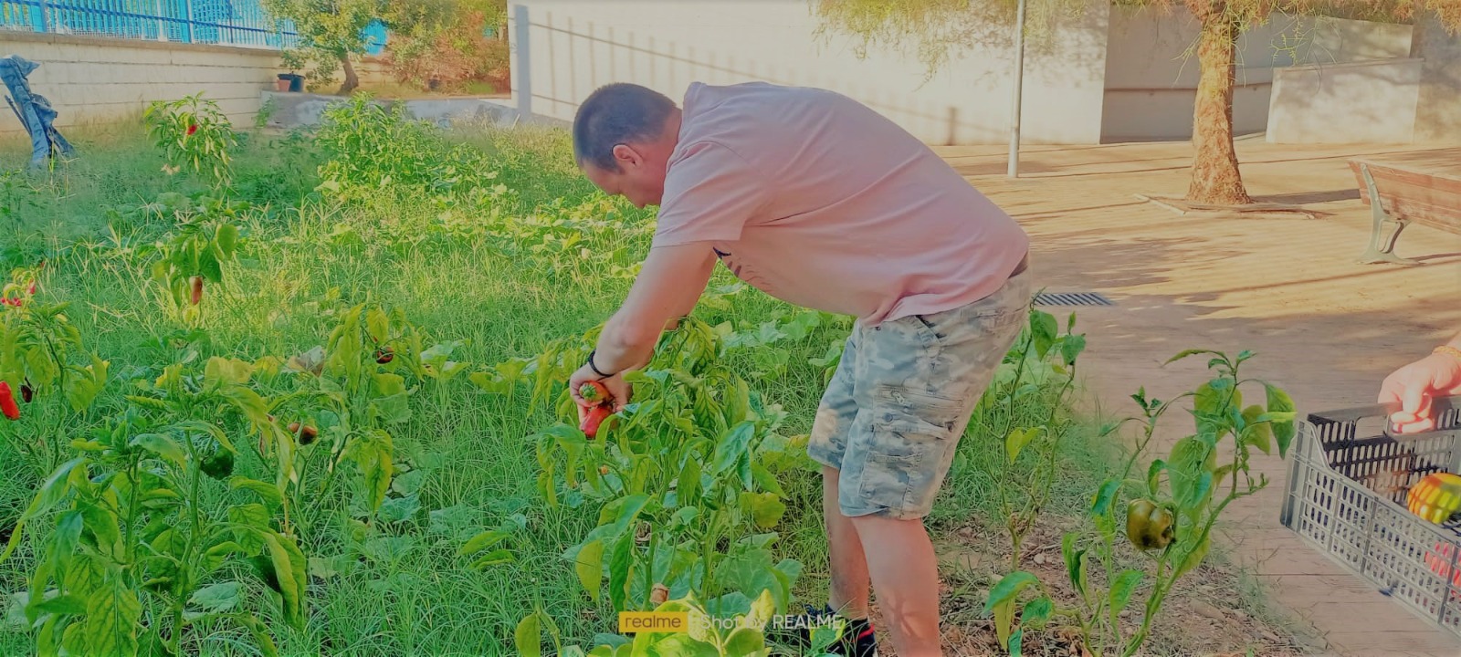 TALLER DE AGRICULTURA ECOLÓGICA: DESPUÉS DE UN VERANO DIFÍCIL DE AGUA
